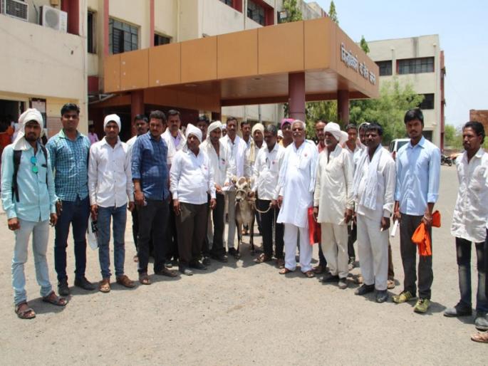 agitation of farmer's organization to foil fodder in Jalna | जालन्यात चारा छावण्यासाठी शेतकरी संघटनेचे आंदोलन agitation of farmer's organization to foil fodder in Jalna | जालन्यात चारा छावण्यासाठी शेतकरी संघटनेचे आंदोलन