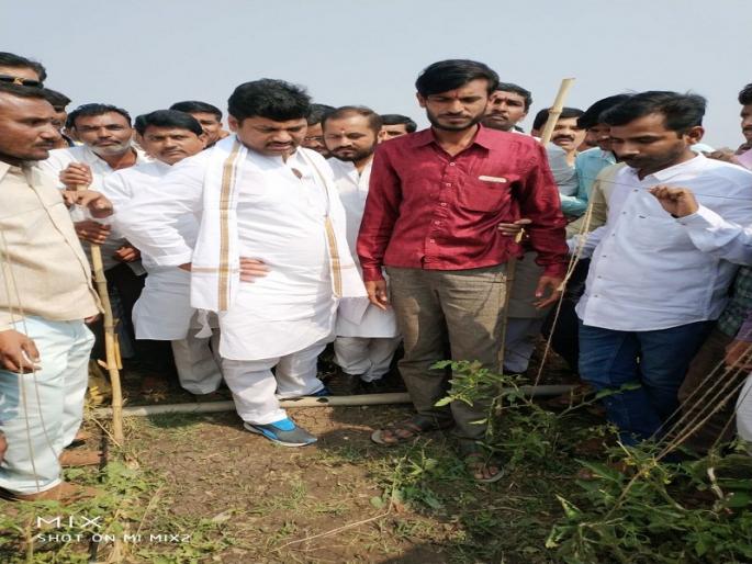 Government should not see the end of farmers; Dhananjay Munde's sign | सरकारने शेतकर्‍यांचा अंत पाहू नये; धनंजय मुंडे यांचा इशारा 