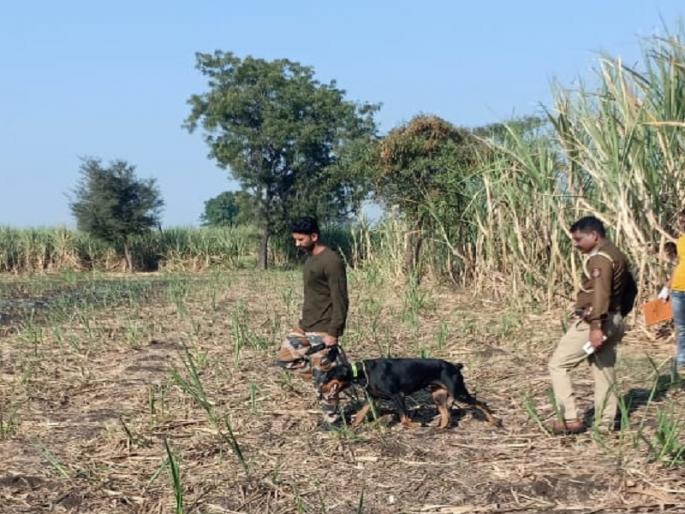 A swarm of robbers in Wadigodri; Lampas worth Rs 1.5 lakh with 40 ounces of gold | वडीगोद्रीत दरोडेखोरांचा धुमाकूळ; ४० तोळे सोन्यासह दीड लाखाची रोकड लंपास A swarm of robbers in Wadigodri; Lampas worth Rs 1.5 lakh with 40 ounces of gold | वडीगोद्रीत दरोडेखोरांचा धुमाकूळ; ४० तोळे सोन्यासह दीड लाखाची रोकड लंपास