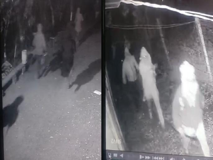 Daring theft at State Bank in Vadigodri; Thief caught on CCTV camera | वडीगोद्री येथील स्टेट बँक ऑफ इंडियात दरोड्याचा प्रयत्न फसला; बँकेतील ऐवज सुरक्षित Daring theft at State Bank in Vadigodri; Thief caught on CCTV camera | वडीगोद्री येथील स्टेट बँक ऑफ इंडियात दरोड्याचा प्रयत्न फसला; बँकेतील ऐवज सुरक्षित