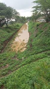 Out of 14 crore out of 14 crore for the Jaltik Shivar campaign in Solapur district, only 5 crore | सोलापूर जिल्ह्यातील जलयुक्त शिवार अभियानासाठी आलेल्या १४ कोटी पैकी फक्त ५ कोटी खर्च Out of 14 crore out of 14 crore for the Jaltik Shivar campaign in Solapur district, only 5 crore | सोलापूर जिल्ह्यातील जलयुक्त शिवार अभियानासाठी आलेल्या १४ कोटी पैकी फक्त ५ कोटी खर्च