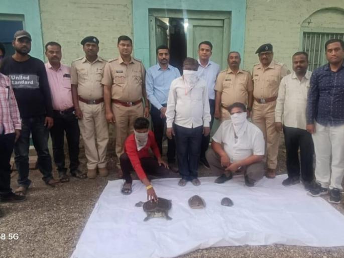 Nashirabad three accused arrested | नशिराबादचे तिघे ‘कासव’छाप अटकेत! Nashirabad three accused arrested | नशिराबादचे तिघे ‘कासव’छाप अटकेत!