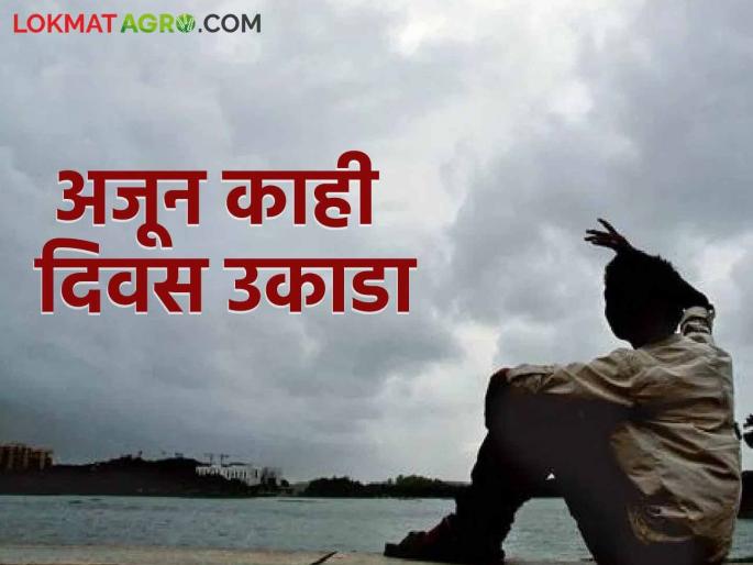 Climate change: Climate changes in jalna read in detail | climate change : यंदा दिवळीनंतर गुलाबी थंडी; काय आहे कारण ते वाचा सविस्तर Climate change: Climate changes in jalna read in detail | climate change : यंदा दिवळीनंतर गुलाबी थंडी; काय आहे कारण ते वाचा सविस्तर