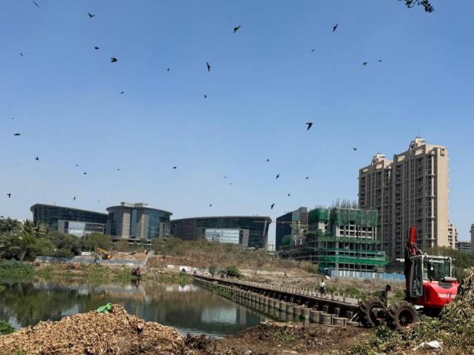 Citizens of Pune Mundhwa area get rid of mosquitoes 5 JCB 4 boats and 30 laborers removed the jalparni | पुण्यातील मुंढवा परिसरातील नागरिकांची डासांपासून सुटका; ५ जेसीबी, ४ बोटी अन् ३० मजुरांनी हटवली जलपर्णी Citizens of Pune Mundhwa area get rid of mosquitoes 5 JCB 4 boats and 30 laborers removed the jalparni | पुण्यातील मुंढवा परिसरातील नागरिकांची डासांपासून सुटका; ५ जेसीबी, ४ बोटी अन् ३० मजुरांनी हटवली जलपर्णी