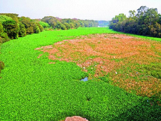 Despite spending billions of rupees in five years, the questions were serious, the problems were 'like' | पाच वर्षांत कोट्यवधी खर्च करूनही प्रश्न गंभीरच, समस्या ‘जैसे थे’च Despite spending billions of rupees in five years, the questions were serious, the problems were 'like' | पाच वर्षांत कोट्यवधी खर्च करूनही प्रश्न गंभीरच, समस्या ‘जैसे थे’च