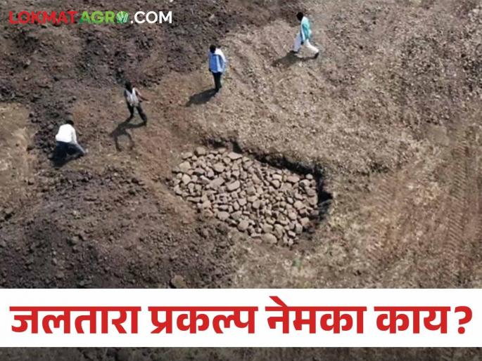 Latest News What exactly art of livings Jaltara project that relieves farmers from drought | Jaltara Project : शेतकऱ्यांना दुष्काळमुक्त करणारा जलतारा प्रकल्प नेमका काय? वाचा सविस्तर Latest News What exactly art of livings Jaltara project that relieves farmers from drought | Jaltara Project : शेतकऱ्यांना दुष्काळमुक्त करणारा जलतारा प्रकल्प नेमका काय? वाचा सविस्तर