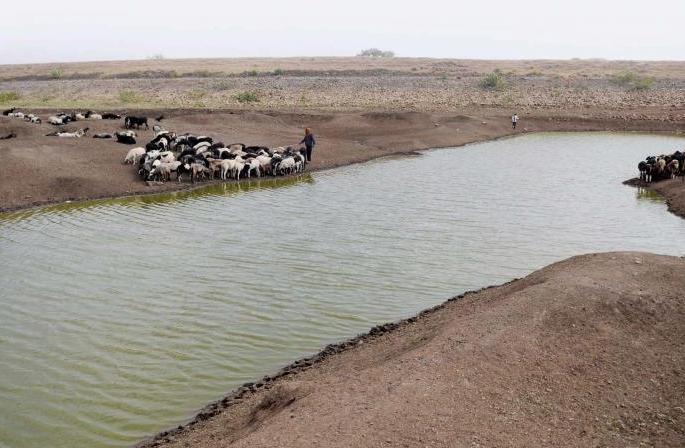Water conservation work in Beed district will be available through 'Jal Shakti' speed | 'जलयुक्त' नंतर ‘जलशक्ती’मुळे मिळणार बीड जिल्ह्यातील जलसंधारणाच्या कामांना गती Water conservation work in Beed district will be available through 'Jal Shakti' speed | 'जलयुक्त' नंतर ‘जलशक्ती’मुळे मिळणार बीड जिल्ह्यातील जलसंधारणाच्या कामांना गती