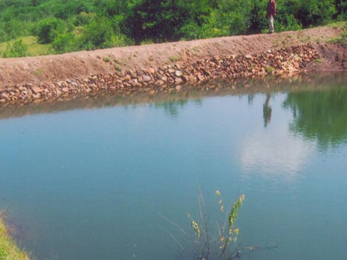 Maharashtra will get 4 awards for MGNREGA | महाराष्ट्राला मनरेगाचे ४ पुरस्कार, राज्य सरकारच्या जलयुक्त शिवार’ व ‘मागेल त्याला शेततळे’ योजनांची राष्ट्रीय पातळीवर दखल Maharashtra will get 4 awards for MGNREGA | महाराष्ट्राला मनरेगाचे ४ पुरस्कार, राज्य सरकारच्या जलयुक्त शिवार’ व ‘मागेल त्याला शेततळे’ योजनांची राष्ट्रीय पातळीवर दखल