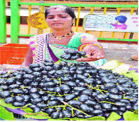 Under the thorny tree, diabetes drum! | जांभूळ पिकल्या झाडाखाली मधुमेहाचा ढोल वाजं जी! Under the thorny tree, diabetes drum! | जांभूळ पिकल्या झाडाखाली मधुमेहाचा ढोल वाजं जी!