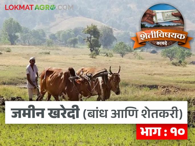 Latest News Jamin Kharedi Where and how to complain about land encroachment? Read in detail | Jamin Kharedi : जमिनीवर अतिक्रमण झाल्यास कुठे आणि कशी तक्रार कराल? वाचा सविस्तर  Latest News Jamin Kharedi Where and how to complain about land encroachment? Read in detail | Jamin Kharedi : जमिनीवर अतिक्रमण झाल्यास कुठे आणि कशी तक्रार कराल? वाचा सविस्तर