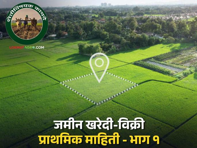 Latest News Jamin Kharedi these things to look for while buying and selling land jamin Read in detail | Jamin Kharedi : जमीन खरेदी-विक्री करताना कोण-कोणत्या गोष्टी पाहाल? वाचा सविस्तर 