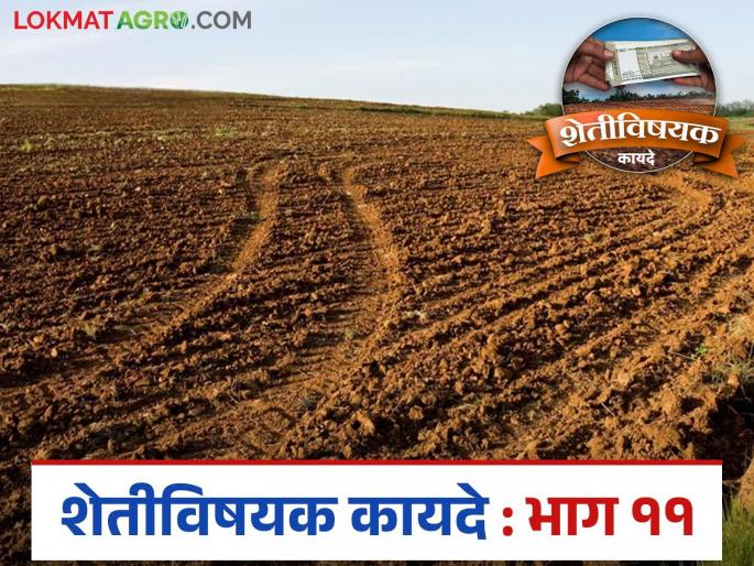 Latest News Jamin Kharedi Mojani In case of dispute over possession of farm land Read in detail | Jamin Kharedi : शेत जमिनीच्या ताब्यावरुन किंवा बांधावरून वाद झाल्यास काय कराल? वाचा सविस्तर  Latest News Jamin Kharedi Mojani In case of dispute over possession of farm land Read in detail | Jamin Kharedi : शेत जमिनीच्या ताब्यावरुन किंवा बांधावरून वाद झाल्यास काय कराल? वाचा सविस्तर