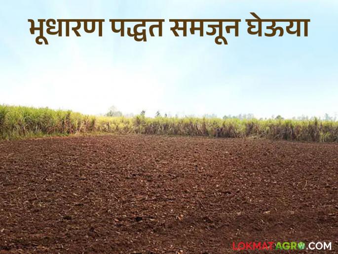 Latest News Bhogwatdar Jamin Kharedi Can Occupier Class 2 lands be bought and sold Read in detail | Bhogwatdar Jamin Kharedi : भोगवटादार वर्ग 2 च्या जमिनी खरेदी-विक्री करता येतात का? वाचा सविस्तर 