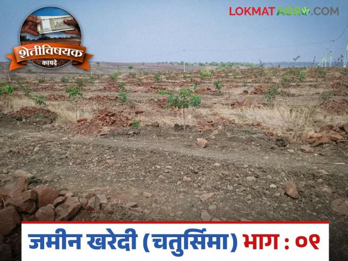 Latest News Jamin Kharedi Can Tehsildar approve road to your new buying land Read in detail | Jamin Kharedi : तुमच्या जमिनीला तहसीलदार रस्ता मंजूर करून देऊ शकतात का? वाचा सविस्तर  Latest News Jamin Kharedi Can Tehsildar approve road to your new buying land Read in detail | Jamin Kharedi : तुमच्या जमिनीला तहसीलदार रस्ता मंजूर करून देऊ शकतात का? वाचा सविस्तर