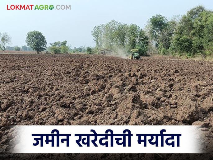 Latest News Jamin Kharedi Niyam How much land can farmer in Maharashtra buy Read in detail | Jamin Kharedi : महाराष्ट्रातील एक शेतकरी जास्तीत जास्त किती जमीन खरेदी करू शकतो? वाचा सविस्तर  Latest News Jamin Kharedi Niyam How much land can farmer in Maharashtra buy Read in detail | Jamin Kharedi : महाराष्ट्रातील एक शेतकरी जास्तीत जास्त किती जमीन खरेदी करू शकतो? वाचा सविस्तर