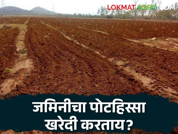Buying a sub-plot of any land? Now this is the new rule of the state government; Read in detail | कोणत्याही जमिनीचा पोटहिस्सा खरेदी करताय? आता राज्य शासनाचा हा नवा नियम; वाचा सविस्तर