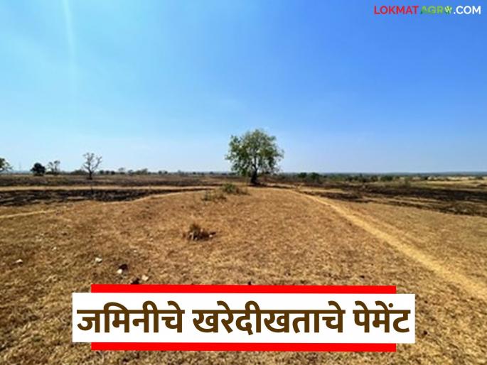 Latest news Jamin Kharedi Learn in detail how to pay for land purchase deed, by cash or check | जमिनीच्या खरेदीखताचे पेमेंट नेमके कसे करावे, रोख की चेकद्वारे, जाणून घ्या सविस्तर  Latest news Jamin Kharedi Learn in detail how to pay for land purchase deed, by cash or check | जमिनीच्या खरेदीखताचे पेमेंट नेमके कसे करावे, रोख की चेकद्वारे, जाणून घ्या सविस्तर