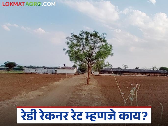 Latest News jamin Kharedi what is mean by ready reckoner rate see details | Ready Reckoner Rate : रेडी रेकनर रेट म्हणजे काय, ते कोण ठरवतं, याबाबत नेमकं समजून घेऊयात.... 