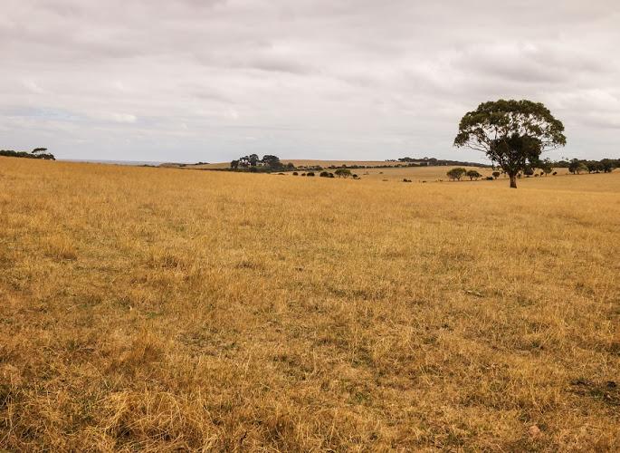 Farmer suicides due to harassment of land sales | जमीन विक्र ीच्या टक्केवारीसाठी त्रास दिल्याने शेतकऱ्याची आत्महत्या Farmer suicides due to harassment of land sales | जमीन विक्र ीच्या टक्केवारीसाठी त्रास दिल्याने शेतकऱ्याची आत्महत्या