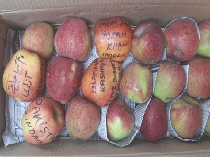 Azadi Burhan Wani Written On Apples From Kashmir Sellers Threaten Boycott Police Starts Probe | काश्मीरमधून आलेल्या सफरचंदांवरील 'त्या' मजकुरानं एकच खळबळ Azadi Burhan Wani Written On Apples From Kashmir Sellers Threaten Boycott Police Starts Probe | काश्मीरमधून आलेल्या सफरचंदांवरील 'त्या' मजकुरानं एकच खळबळ