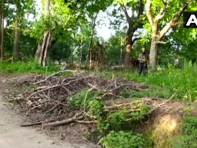 Encounter Has Started At Sugoo Area Of Shopian District Jammu and Kashmir  | Jammu and Kashmir : सुरक्षा दलांना मोठं यश, शोपियान जिल्ह्यात दोन दहशतवाद्यांचा खात्मा