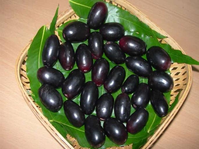 Eat jamun and apply it on your face to preserve your beauty! | सौंदर्य जपण्यासाठी जांभूळ खा-प्या अन चेहेऱ्याला लावा!