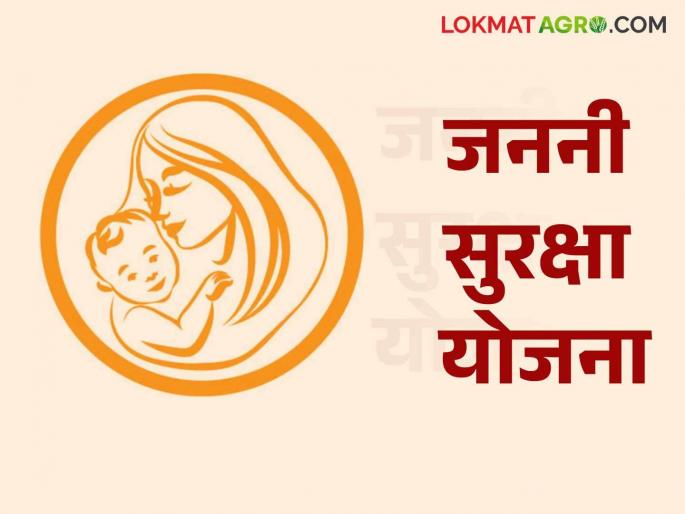 Janani Suraksha Yojana: Apply for Janani Suraksha Yojana, know the details | Janani Suraksha Yojana : जननी सुरक्षा योजनेसाठी अर्ज करताय जाणून घ्या सविस्तर Janani Suraksha Yojana: Apply for Janani Suraksha Yojana, know the details | Janani Suraksha Yojana : जननी सुरक्षा योजनेसाठी अर्ज करताय जाणून घ्या सविस्तर