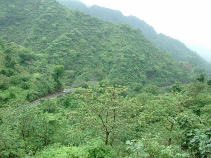Nandurbar district has more than three and a half thousand families | नंदुरबार जिल्ह्यातील साडेतीन हजार कुटुंब झालीत चूलमुक्त Nandurbar district has more than three and a half thousand families | नंदुरबार जिल्ह्यातील साडेतीन हजार कुटुंब झालीत चूलमुक्त