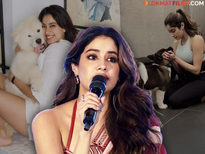Janhvi Kapoor Strongly Condemned Morocco 3 Million Dog Mass Killing Plan Before The 2030 Fifa World Cup | जान्हवी कपूरचा संताप, ३० लाख भटक्या कुत्र्यांना मारण्याच्या निर्णयावर केली टीका