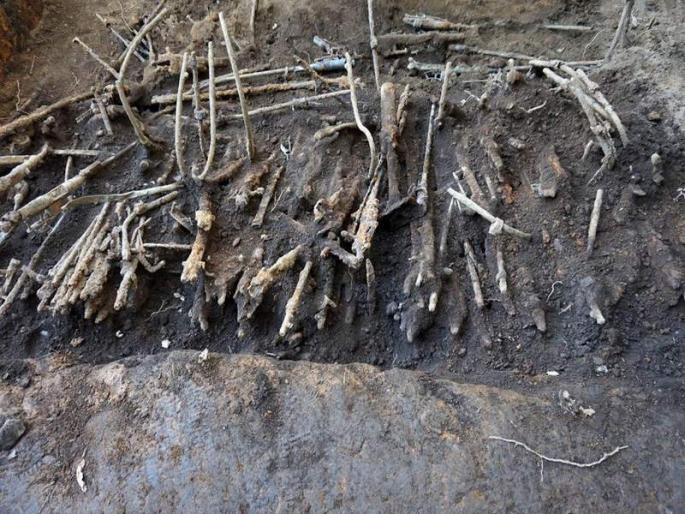 Second World War weapon found in the school | शाळेखाली सापडली दुसऱ्या महायुद्धातील शस्त्रे Second World War weapon found in the school | शाळेखाली सापडली दुसऱ्या महायुद्धातील शस्त्रे