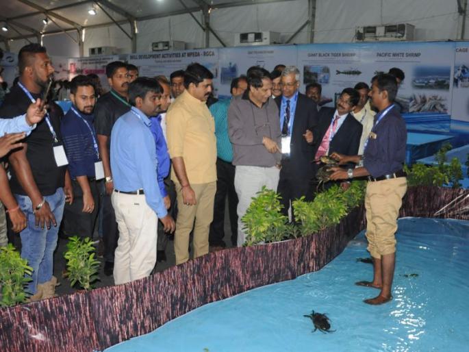 Japanese & Korean Companies to Invest in JointVenture in Marine Products | भारताशी जॉईंट वेंचरसाठी जपानी व कोरियन कंपन्यांमध्ये उत्सुकता- सुरेश प्रभू