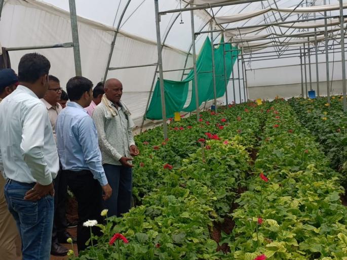 How does a smallholder Rahul Kitukle earn an income of 60 thousand per month? | अल्पभूधारक राहुल किटुकले दरमहा ६० हजाराचे उत्पन्न कसे मिळवतात? How does a smallholder Rahul Kitukle earn an income of 60 thousand per month? | अल्पभूधारक राहुल किटुकले दरमहा ६० हजाराचे उत्पन्न कसे मिळवतात?