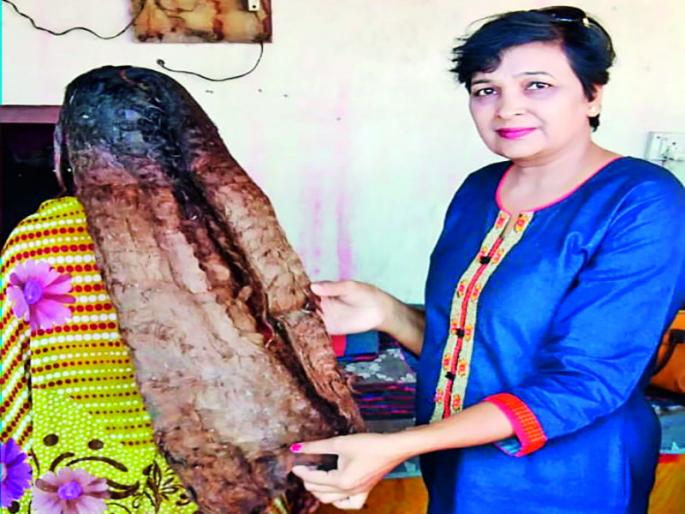 Her liberation from 'jata' | जाचक रूढीपरंपरेच्या ‘जटे’तून तिची मुक्तता Her liberation from 'jata' | जाचक रूढीपरंपरेच्या ‘जटे’तून तिची मुक्तता