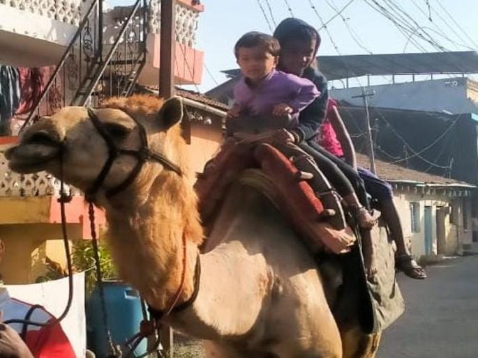 spacial article on jasta kids are enjoying in their village experiancing camel | यात्रा-जत्रा थंडावल्या, पण इथे घडतेय मुलांना वाळवंटातील सफर... spacial article on jasta kids are enjoying in their village experiancing camel | यात्रा-जत्रा थंडावल्या, पण इथे घडतेय मुलांना वाळवंटातील सफर...