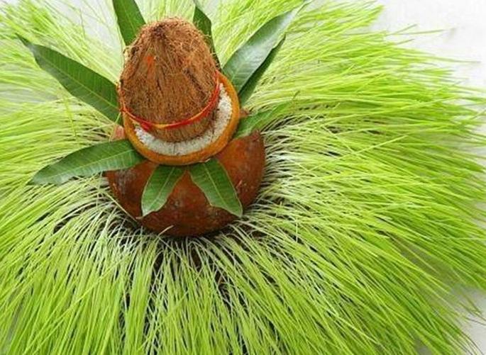 Navratri 2018 : importance of jau or jwara pujan | Navratri 2018 : नवरात्रीमध्ये जवस-ज्वारी का उगवले जातात?, जाणून घ्या महत्त्व Navratri 2018 : importance of jau or jwara pujan | Navratri 2018 : नवरात्रीमध्ये जवस-ज्वारी का उगवले जातात?, जाणून घ्या महत्त्व