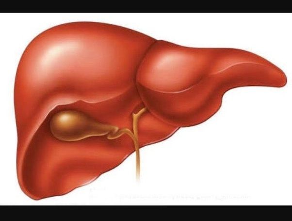 More risk of Hepatitis B than HIV | एचआयव्हीपेक्षा ‘हेपॅटायटीस बी’चा धोका अधिक More risk of Hepatitis B than HIV | एचआयव्हीपेक्षा ‘हेपॅटायटीस बी’चा धोका अधिक