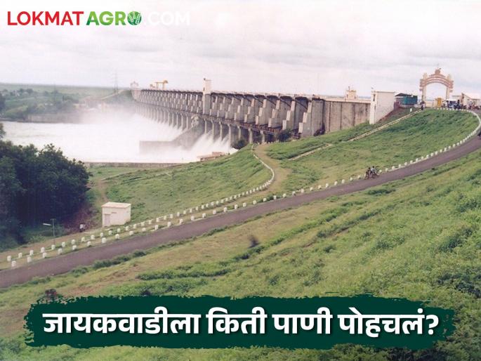 14 TMC water reached Jayakwadi from Gangapur Dam, read in detail | नाशिकचे गंगापूर धरण 58 टक्के भरले, जायकवाडीला किती टीएमसी पाणी पोहचले?