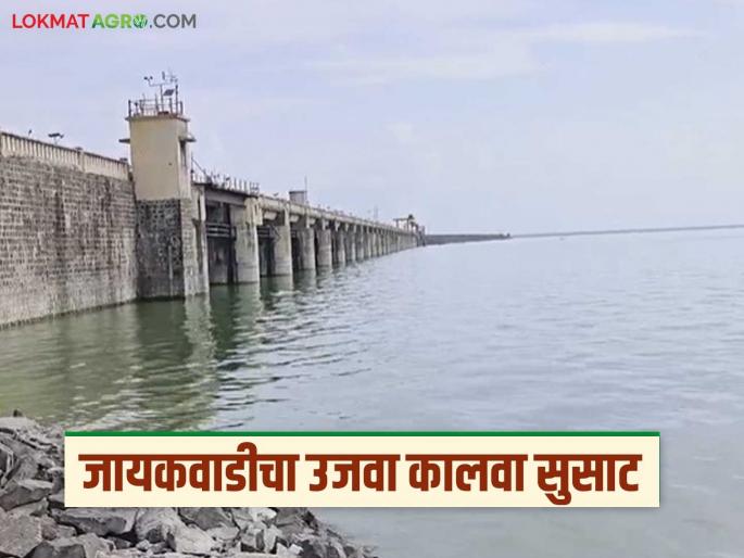 Jayakawadi dam: latest news Water revolution in irrigation sector: Jayakawadi's right canal will now be 'superfast' Read in detail | Jayakawadi dam : सिंचनक्षेत्रात जलक्रांती: जायकवाडीचा उजवा कालवा आता होणार 'सुपरफास्ट' वाचा सविस्तर