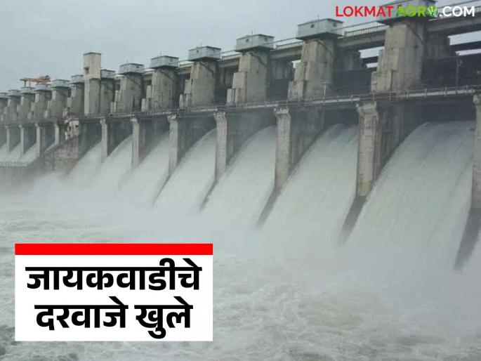 latest news Jayakwadi Dam Water Level: Water release from Jayakwadi Dam starts; Relief for Sambhajinagar, Beed, Jalna, Parbhani | Jayakwadi Dam Water Level : जायकवाडी धरणातून पाण्याचा विसर्ग सुरू; संभाजीनगर, बीड, जालना, परभणीला दिलासा