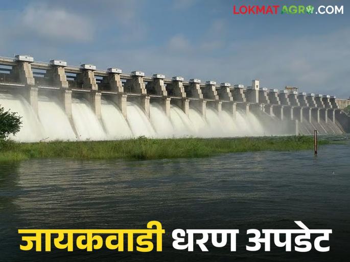 Jayakawadi Dam Update: latest news Why is the water level of Jayakawadi Dam decreasing? Know the reason | Jayakawadi Dam: जायकवाडी धरणाच्या पाणीपातळीत का होतेय घट; जाणून घ्या कारण Jayakawadi Dam Update: latest news Why is the water level of Jayakawadi Dam decreasing? Know the reason | Jayakawadi Dam: जायकवाडी धरणाच्या पाणीपातळीत का होतेय घट; जाणून घ्या कारण