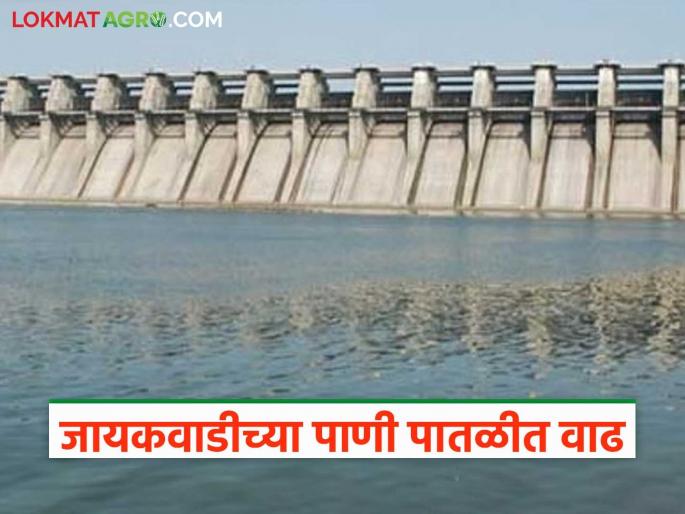 latest news Jayakawadi Dam: Water flow from Nashik; Large inflow of water in Jayakawadi Read in detail | Jayakawadi Dam : नाशिकहून आलेली जलधारा; जायकवाडीत पाण्याची मोठी आवक वाचा सविस्तर