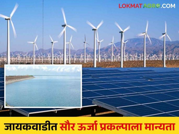 Jayakawadi Solar Project: Read more about the solar power project to be set up at Jayakawadi Dam | Jayakawadi Solar Project : जायकवाडी धरणावर उभारणार सौर ऊर्जा प्रकल्प वाचा सविस्तर Jayakawadi Solar Project: Read more about the solar power project to be set up at Jayakawadi Dam | Jayakawadi Solar Project : जायकवाडी धरणावर उभारणार सौर ऊर्जा प्रकल्प वाचा सविस्तर