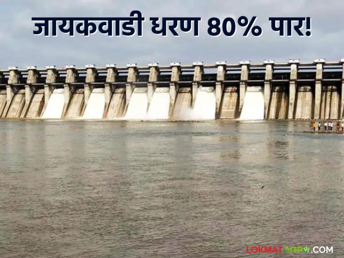 latest news Jayakwadi Dam Water Level Update: Possibility of water release from Jayakwadi Dam; Alert issued to these districts | Jayakwadi Dam Water Level Update : जायकवाडी धरणातून पाणी सोडण्याची शक्यता; 'या' जिल्ह्यांना सतर्कतेचा इशारा latest news Jayakwadi Dam Water Level Update: Possibility of water release from Jayakwadi Dam; Alert issued to these districts | Jayakwadi Dam Water Level Update : जायकवाडी धरणातून पाणी सोडण्याची शक्यता; 'या' जिल्ह्यांना सतर्कतेचा इशारा