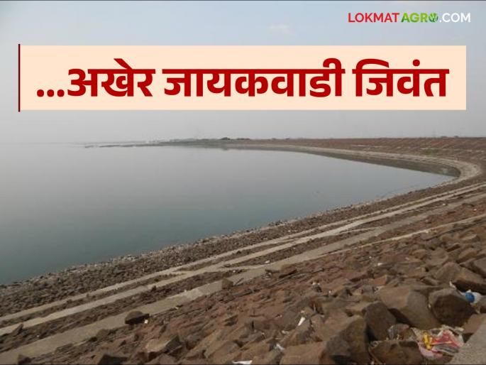 Jayakwadi Water Storage finally raised the water level of Jayakwadi by one and a half feet | Jayakwadi Water Storage अखेर जायकवाडीची पाणीपातळी दीड फुटाने वाढली Jayakwadi Water Storage finally raised the water level of Jayakwadi by one and a half feet | Jayakwadi Water Storage अखेर जायकवाडीची पाणीपातळी दीड फुटाने वाढली