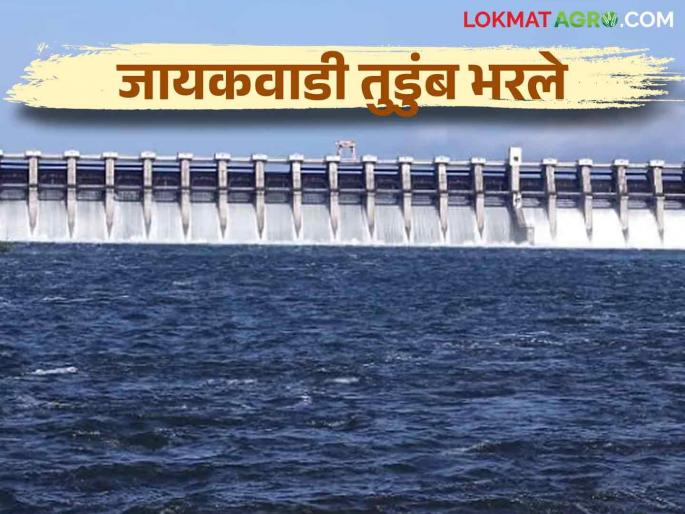 Jayakwadi Dam : Water problem of rabi crops is solved | Jayakwadi Dam : मराठवाड्यातील धरणे भरली; रब्बी पिकांचा पाणी प्रश्न मिटला Jayakwadi Dam : Water problem of rabi crops is solved | Jayakwadi Dam : मराठवाड्यातील धरणे भरली; रब्बी पिकांचा पाणी प्रश्न मिटला