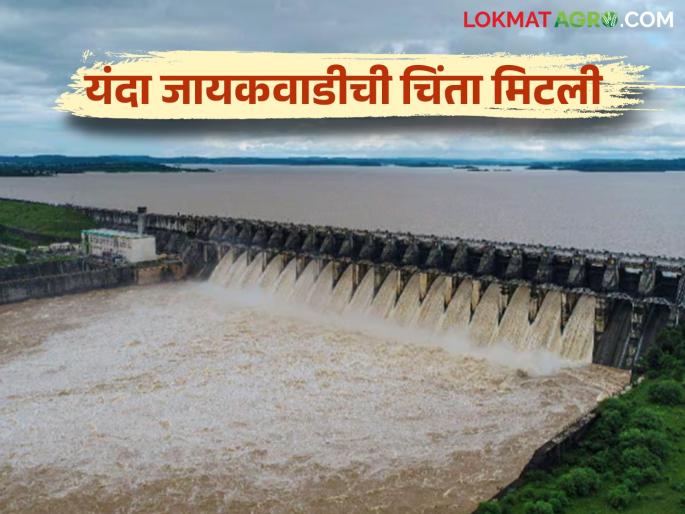 Jayakwadi Dam Water Level: 103 TMC water released to Jayakwadi from Godavari, Pravara | Jayakwadi Dam Water Level : गोदावरी, प्रवरेतून जायकवाडीसाठी वाहिले १०३ टीएमसी पाणी Jayakwadi Dam Water Level: 103 TMC water released to Jayakwadi from Godavari, Pravara | Jayakwadi Dam Water Level : गोदावरी, प्रवरेतून जायकवाडीसाठी वाहिले १०३ टीएमसी पाणी