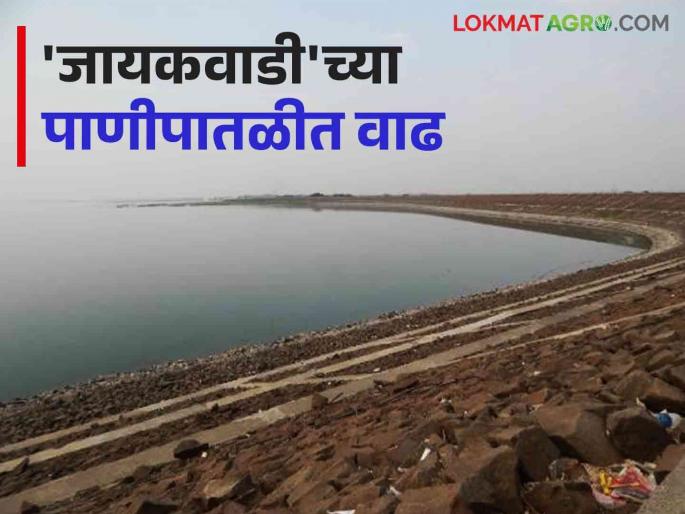 Jayakwadi Dam Water Update: 5 percent increase in the water level of Jayakwadi | Jayakwadi Dam Water Update : 'जायकवाडी'च्या पाणीपातळीत ५ टक्के वाढ Jayakwadi Dam Water Update: 5 percent increase in the water level of Jayakwadi | Jayakwadi Dam Water Update : 'जायकवाडी'च्या पाणीपातळीत ५ टक्के वाढ