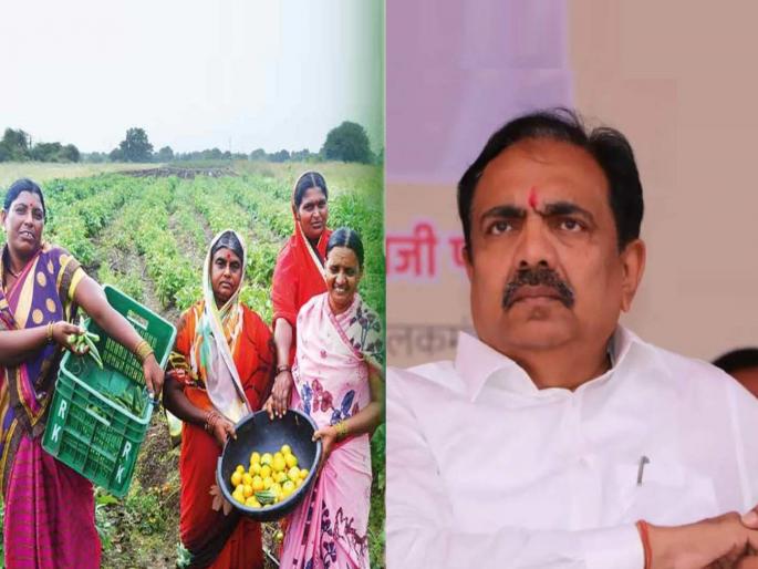 ncp sp group leader jayant patil reaction over ladki bahin yojana after maharashtra assembly election 2024 | लाडकी बहीण योजना बंद होणार का? जयंत पाटलांचे सूचक विधान; म्हणाले, “आम्ही सत्तेत आल्यास....” ncp sp group leader jayant patil reaction over ladki bahin yojana after maharashtra assembly election 2024 | लाडकी बहीण योजना बंद होणार का? जयंत पाटलांचे सूचक विधान; म्हणाले, “आम्ही सत्तेत आल्यास....”