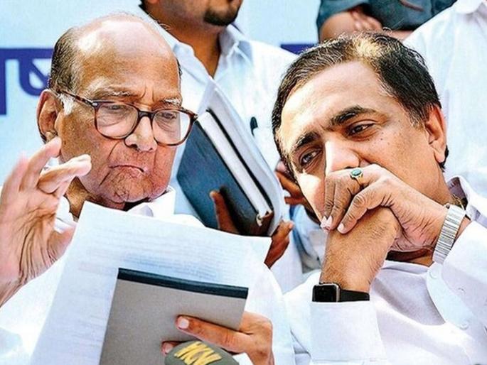 maharashtra assembly election 2024 dates declaired by Sharad pawar NCP leader Jayant patil, politics mahayuti vs Mahavikas Aghadi | राज्यात विधानसभा निवडणूक केव्हा लागणार? जयंत पाटलांनी तारीख सांगितली