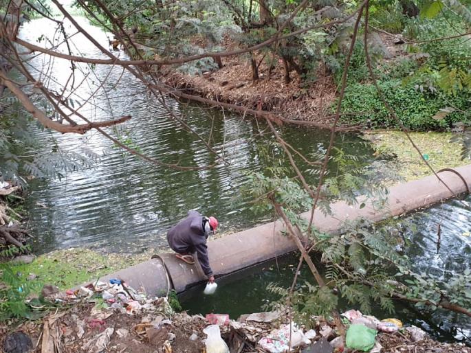 Sewage from 11 Nala still flows directly into Panchganga river | ११ नाल्यातील सांडपाणी आजही थेट पंचगंगा नदीतच Sewage from 11 Nala still flows directly into Panchganga river | ११ नाल्यातील सांडपाणी आजही थेट पंचगंगा नदीतच